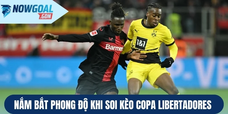Nắm bắt phong độ khi soi kèo Copa Libertadores